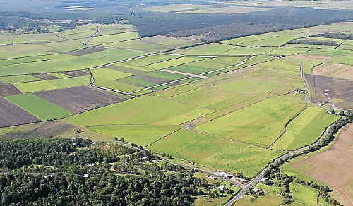 Mr Wagner said AgForce was also puzzled by the mixed messages governments at all levels were sending the agricultural sector. Mr Wagner said AgForce was also puzzled by the mixed messages governments at all levels were sending the agricultural sector.